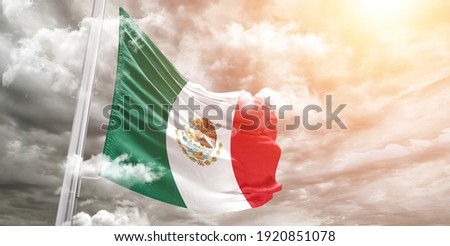 Mexico national flag cloth fabric waving on beautiful grey sky.