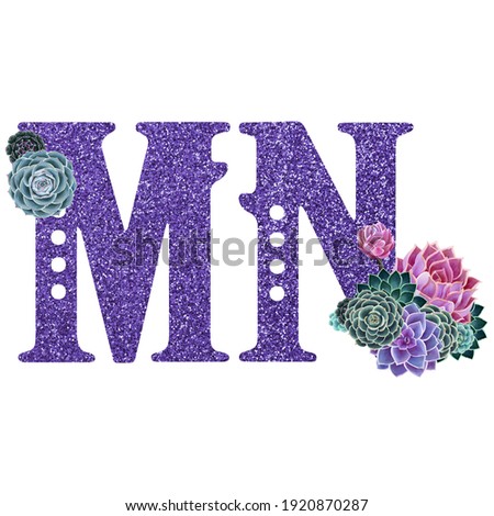 Territory abbreviation of the US. Patriotic floral clip art on white background. State Minnesota