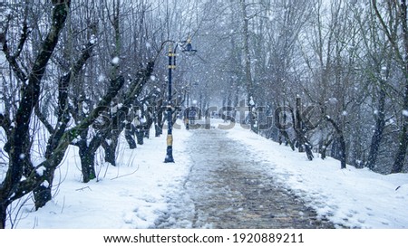 a road covered with snow in a winter day