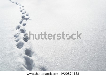 Deep footprints in the snow, copy space. Snowdrifts after a snowstorm, roads not cleared.