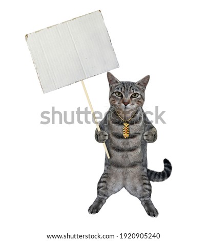 A gray cat with a blank poster on a wooden stick. White background. Isolated.