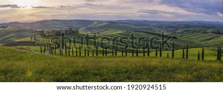 In a Farm in Tuscany, between the hills covered with spring grasses, a road framed by cypress trees winds like a snake and under a high sky with cirrus clouds, this landscape like Wangog's paintings Royalty-Free Stock Photo #1920924515