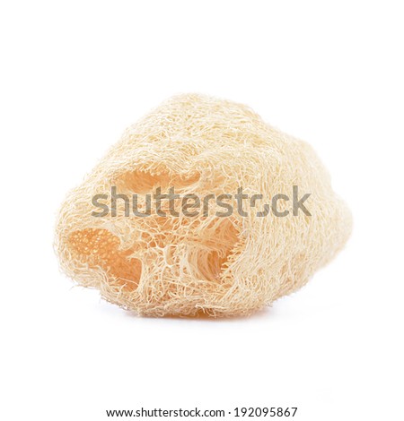 Loofah - natural fiber for body scrubbing - isolated on white