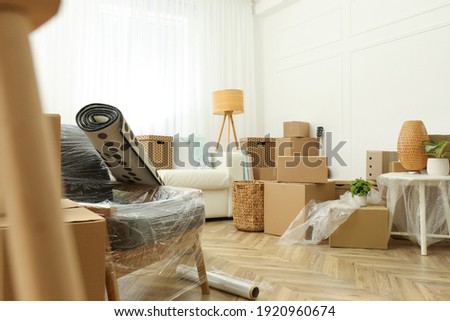Cardboard boxes, potted plants and household stuff indoors. Moving day Royalty-Free Stock Photo #1920960674