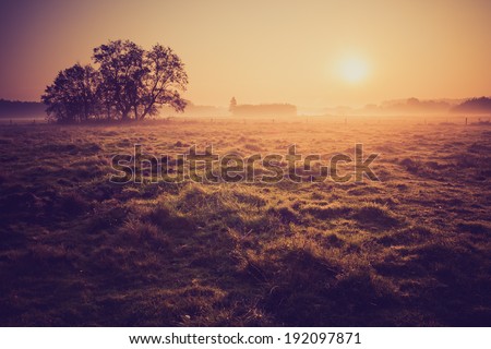 foggy morning on meadow. sunrise landscape photo with vintage effect