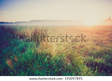 foggy morning on meadow. sunrise landscape photo with vintage effect