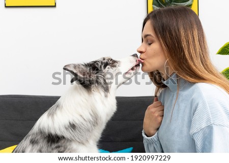 At home, a teenager kisses his favorite pet dog. Intelligent Border Collie Sheepdog. Modern interior design of the apartment.