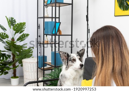 A teenage girl sits with her dog and interpreter's rules of conduct in a large bright living room at home. Intelligent Border Collie Sheepdog. Modern interior design of the apartment.
