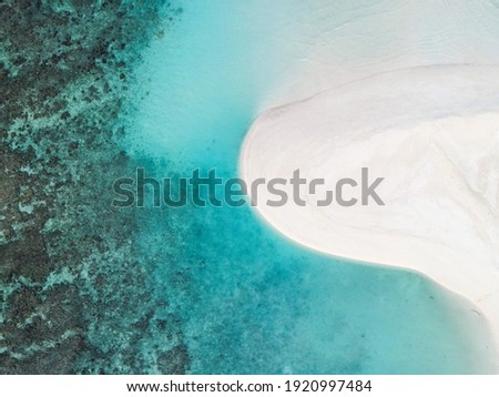White sandy beach along with a beautiful house reef
