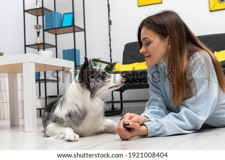 A teenage girl and a dog look each other straight in the eye while lying on the floor in the living room of their home. Intelligent Border Collie Sheepdog. Modern interior design of the apartment.
