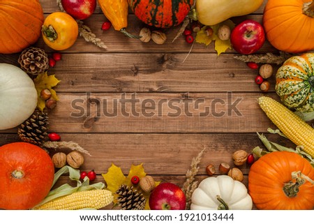 Variety of gourds, squash types and pumpkins. Flat lay composition frame with walnuts, hazelnuts, apples, cones, rosehips, kaki and corn on the cob. Copyspace on wooden background.