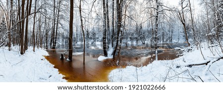 The wild frozen small river in the winter wood, the wild nature at sunset, the river of red color, ice, snow-covered trees