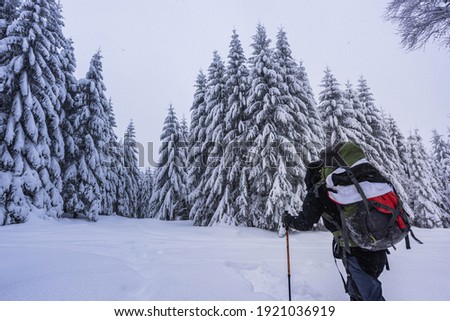 traveler in a snowy forest 