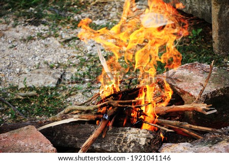 Making a fire using ancient wood for cooking and to keep warm.