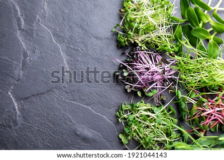 Different microgreens on black slate table, flat lay. Space for text Royalty-Free Stock Photo #1921044143