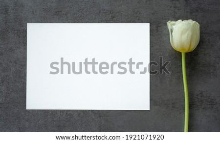 white rectangular invitation on a gray background and a white tulip