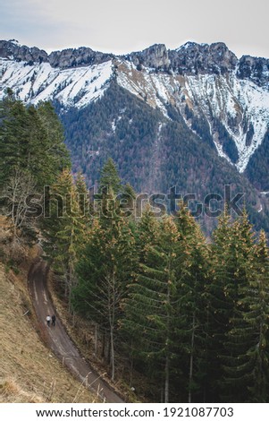 Two people walk on a street in the forest in the alpine mountains.