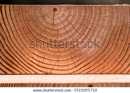 Close up of a thick piece of timber showing the cross section of the tree rings.