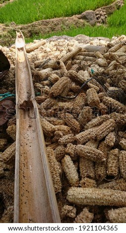 Pile dry corn cobs with dried bamboo strips