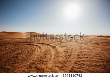 Desert scenic landscape of orange sand with vehicle traces and setting sun, wild nature of Dubai, UAE Royalty-Free Stock Photo #1921110743