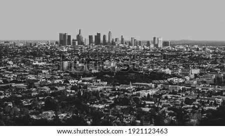 Los Angeles Cityscape In Mono