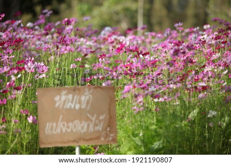 The sign in the picture reads not to enter the flower garden.