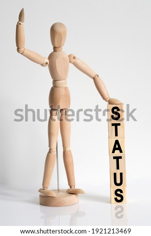 Business and medicine. The wooden man raised his hand, and under his left hand he has cubes with the inscription - STATUS