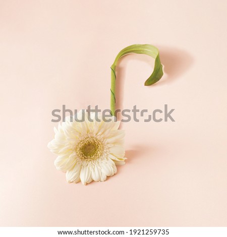 The flower, its leaf and branch create the shape of a note. Gentle color tones.