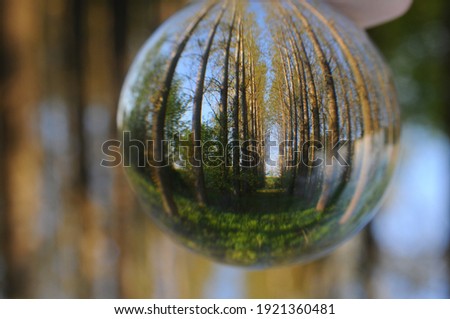 
Path shown by a glass ball