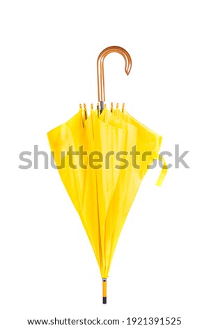 close up yellow umbrella isolated white background