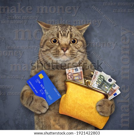 A beige cat holds a credit card and an orange leather wallet with euro banknotes. Make money.