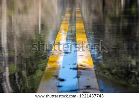 Yellow dividing lines on an asphalt road are submerged in a flood. A nearby river overtopped its banks after heavy days of rain, making the street unpassable for cars. Royalty-Free Stock Photo #1921437743