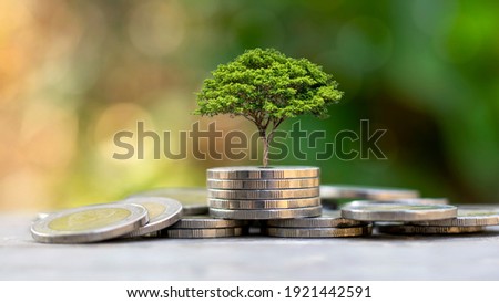 A tree growing on a pile of coins and green background is the concept of the development of the financial system and economic growth. Royalty-Free Stock Photo #1921442591