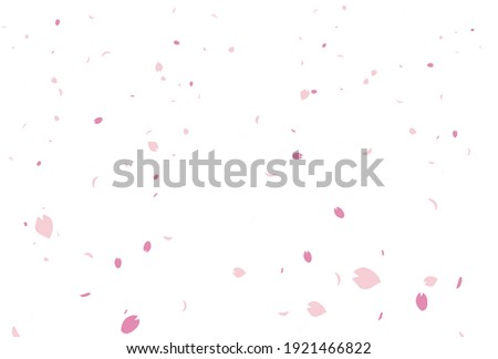 Background of the cherry blossom petals snowstorm Royalty-Free Stock Photo #1921466822