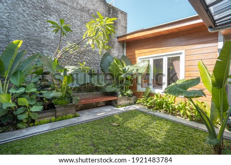 Tropical Garden backyard during the day with wooden cabin