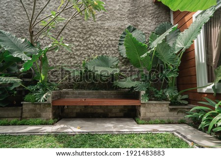 Tropical Garden backyard during the day