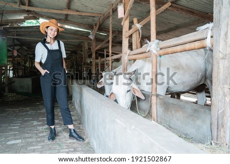 cowgirl wearing a hat in a cow pen on a cow background