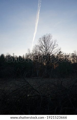Contrails, condensation trails, against the blue sky. Contrails or vapour trails are line-shaped clouds produced by aircraft engine exhaust or changes in air pressure. Berlin, Germany