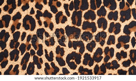 background with leopard texture, close up Royalty-Free Stock Photo #1921533917