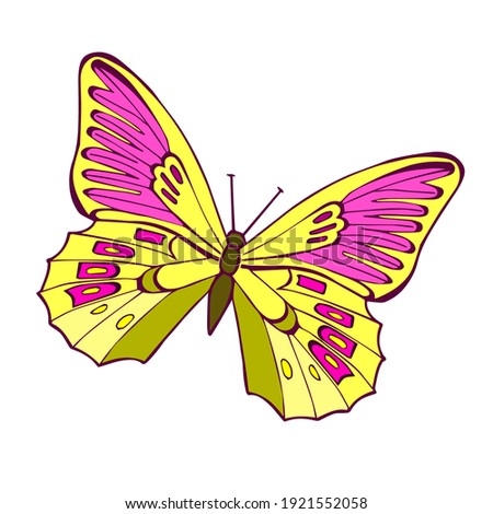 Vector butterflies is on white background. Bright colors purple and yellow.