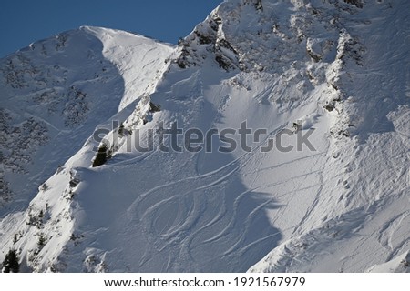 Extreme Skier in Portes du Soleil