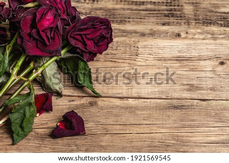 Bouquet of dry burgundy roses. The minimal floral concept on old wooden boards background, place for text, copy space