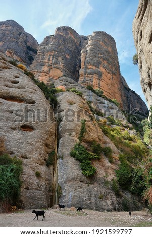 Rocky cliffs close to Vadiello reservoir in Guara Natural Park, Huesca province, Spain Royalty-Free Stock Photo #1921599797