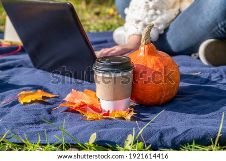Selective focus. Close up view of woman in white sweater sitting with laptop in autumn public park on blue rug. Orange pumpkins, fallen leaves and coffee paper cup lies nearby. Outdoor work theme.