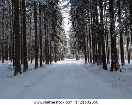 Snowy road in winter forest with snow covered spruce trees Brdy Mountains, Hills in central Czech Republic