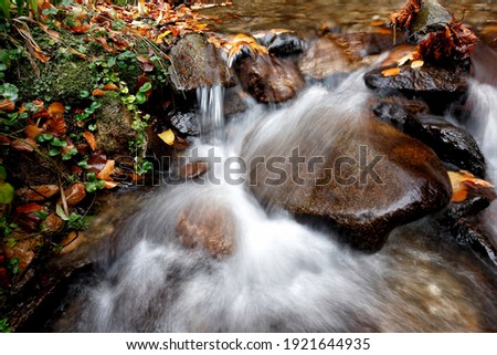 Mountain stream in autumn, stream in the forest