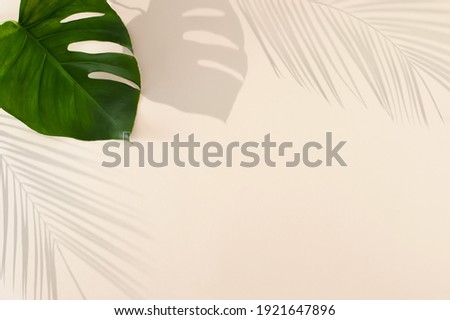Green tropical leaf shadows on pastel beige  color background.  Minimal summer concept
 with palm and monstera tree leafs. Creative drawing of light and shadow.