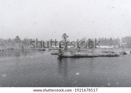 An island in a lake during a snow storm. The island and shore behind it are white with snow. Lots of snow visible in the air (this is not noise).