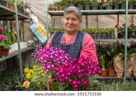 Portrait of a Mexican woman  in nursery Xochimilco, Mexico Royalty-Free Stock Photo #1921753106