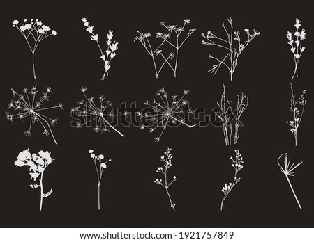 Set of stamps of field grass and flowers on a black background